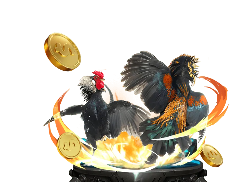 Cam kết của đá gà Thomo