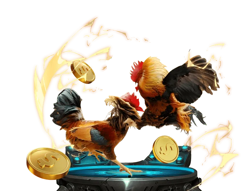 Hình ảnh cộng đồng đá gà trực tuyến sôi động tại Việt Nam